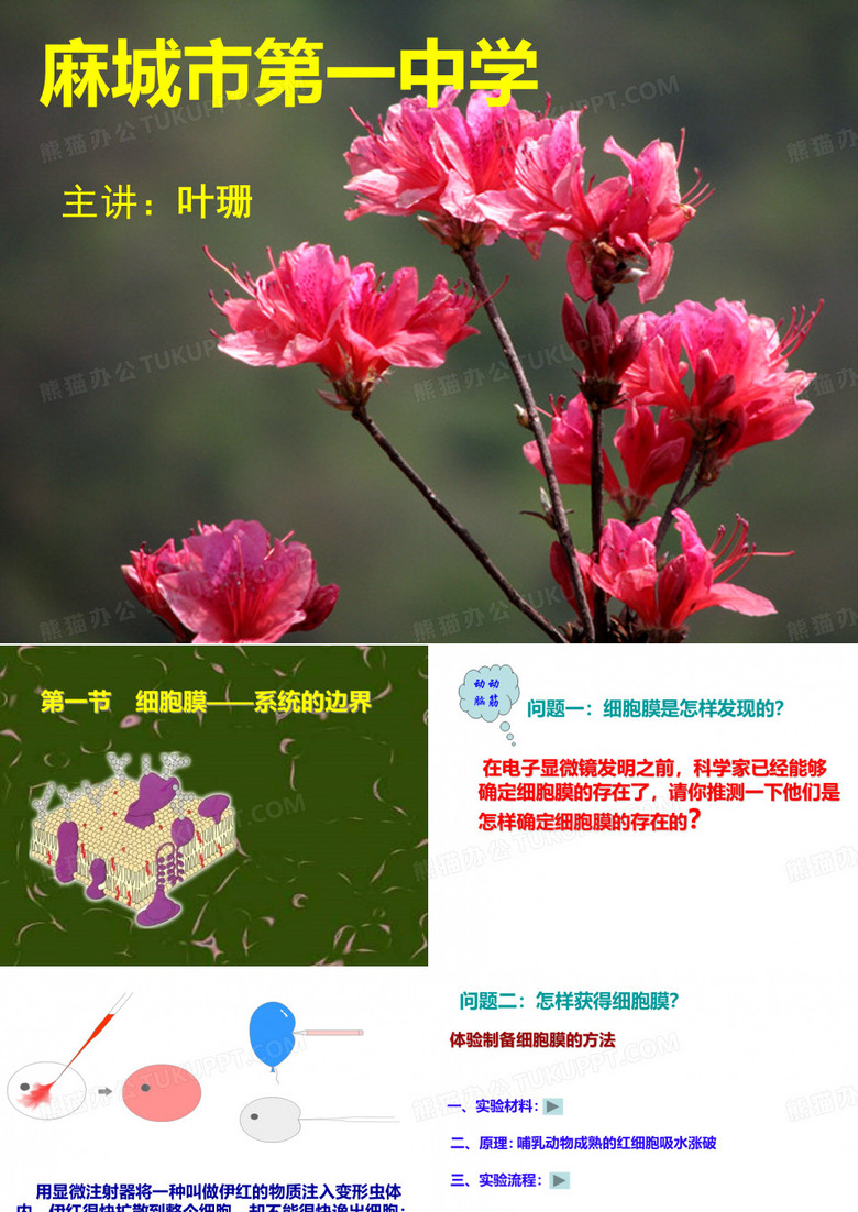 细胞膜——系统的边界