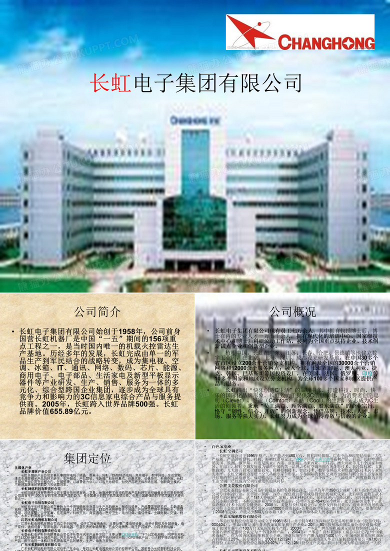 长虹电子集团有限