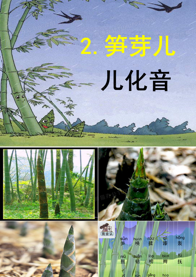 2 笋芽