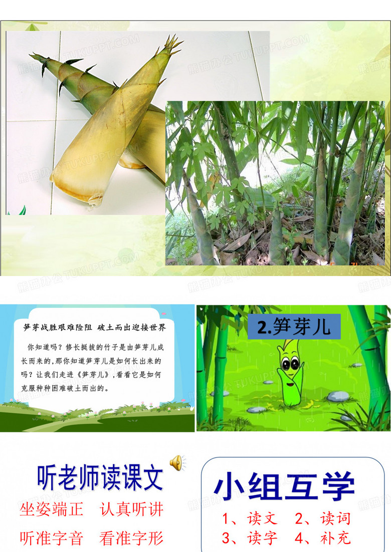 2 笋芽