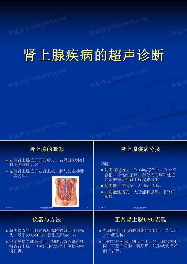 肾上腺