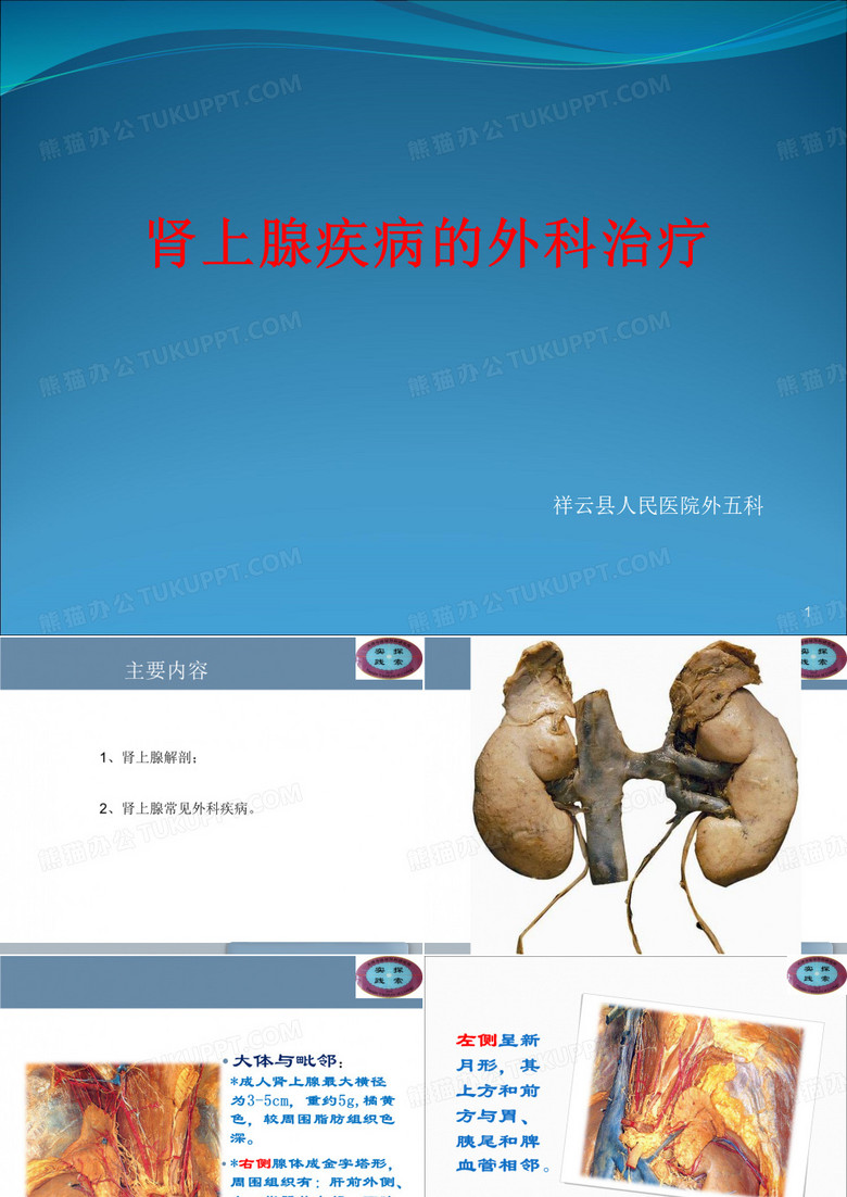肾上腺疾病