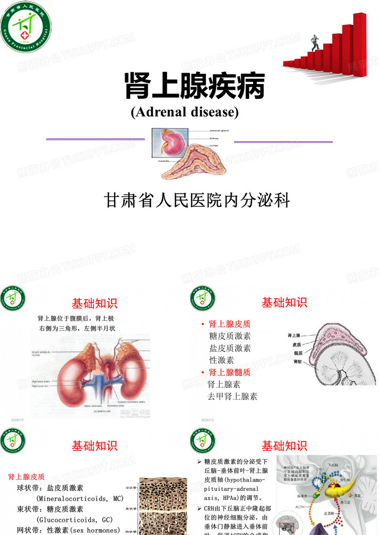 肾上腺疾病 