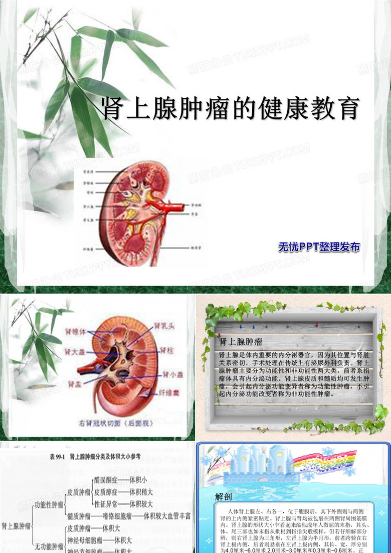 肾上腺肿瘤