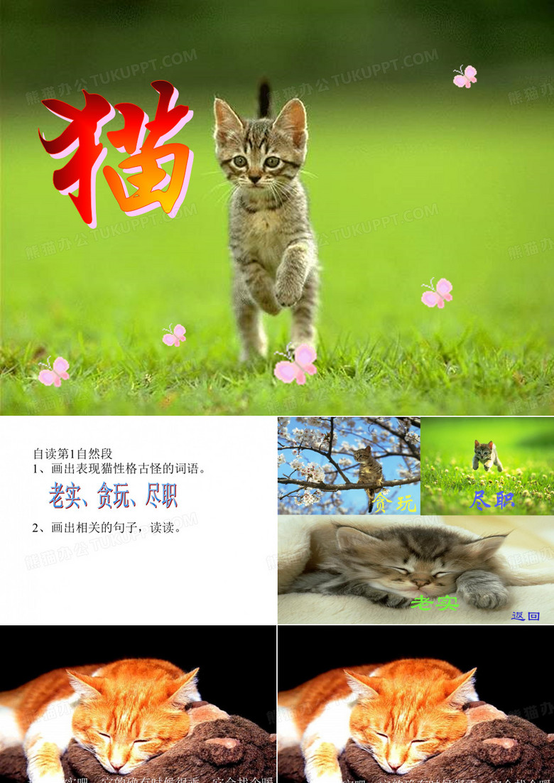 四年级《猫》1