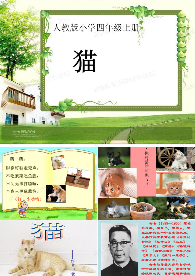 四年级上册语文《猫》