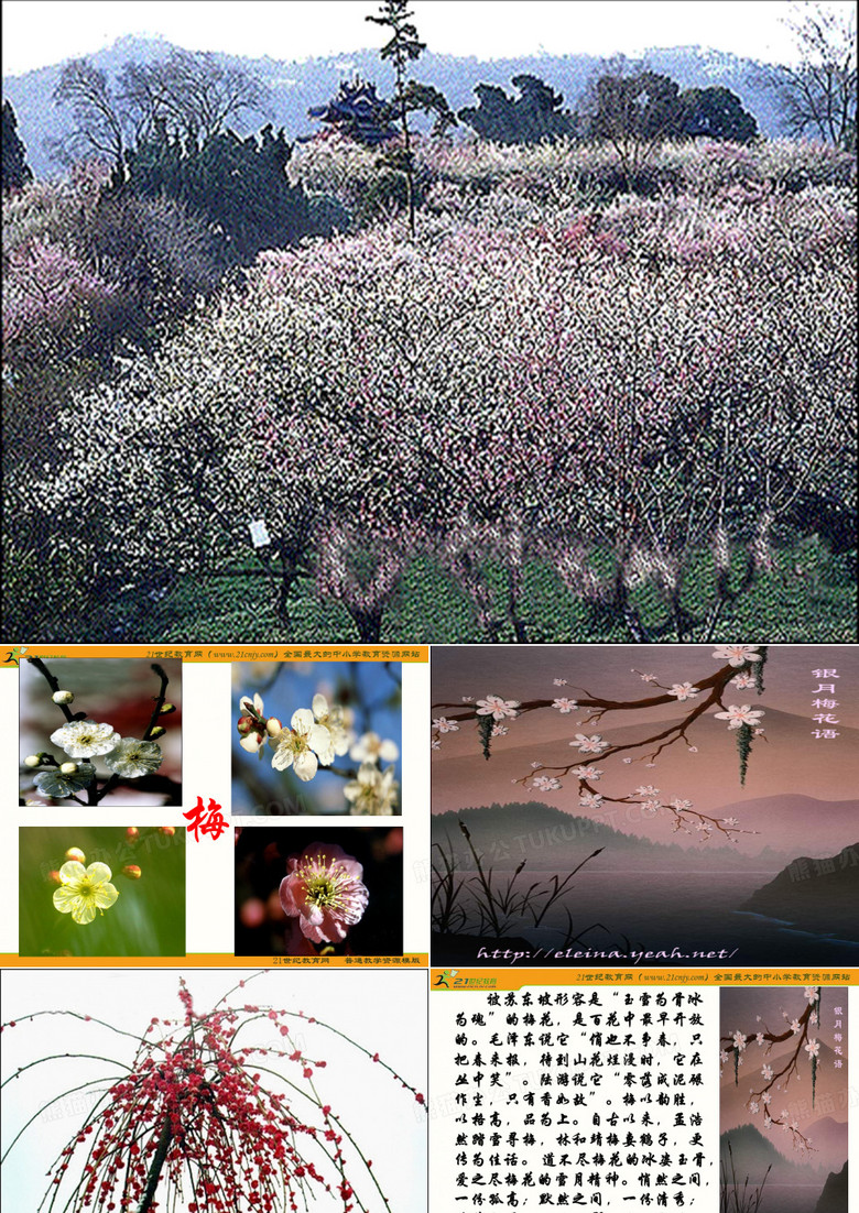 《病梅馆记》ppt
