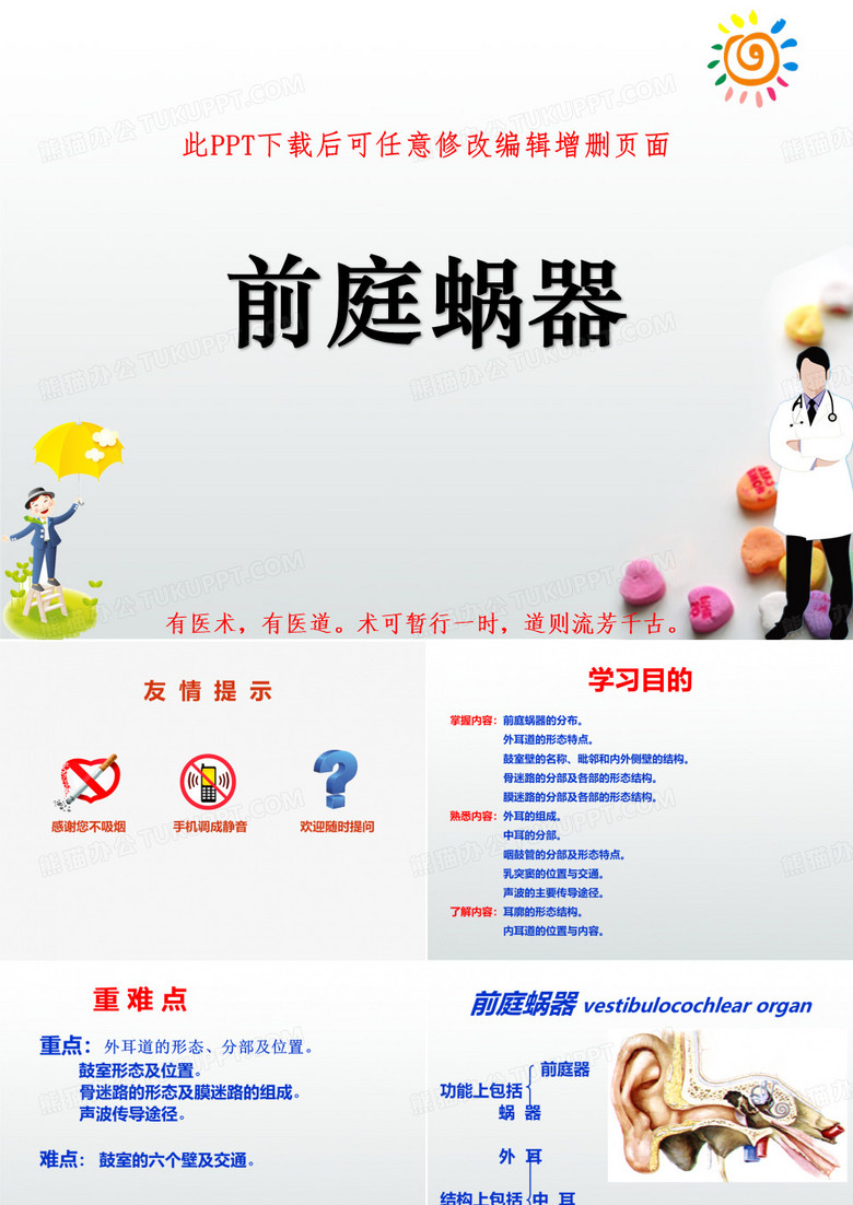 前庭蜗器PPT