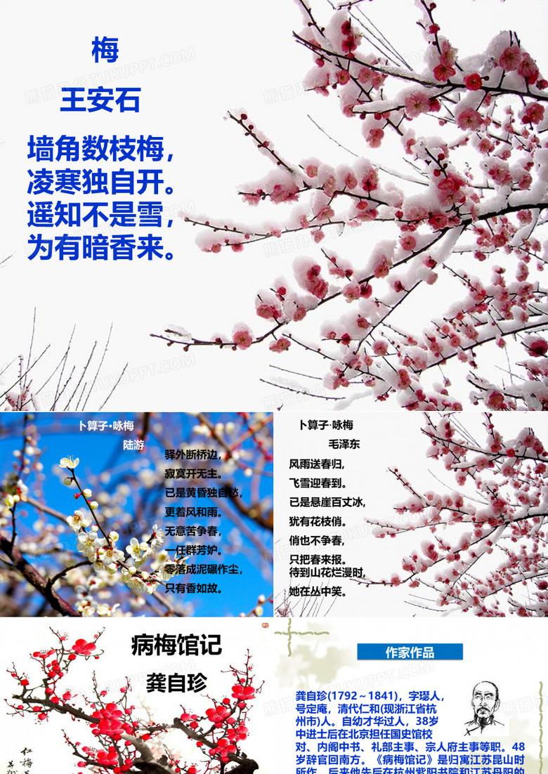 病梅馆记优秀公开课课件
