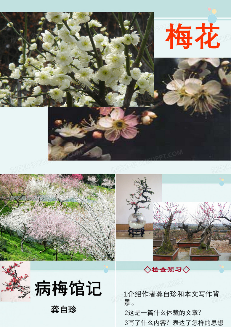 学年高中语文 5.17《病梅馆记》 沪教版必修1-公开课PPT课件