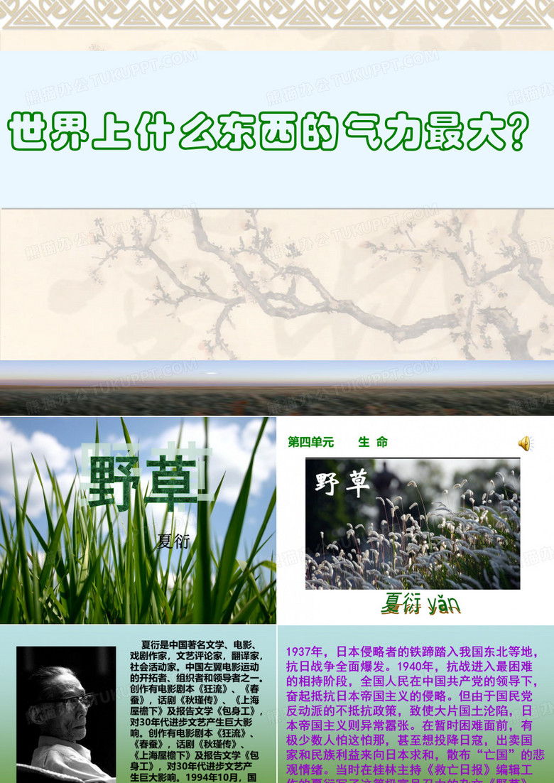 《野草》PPT课件