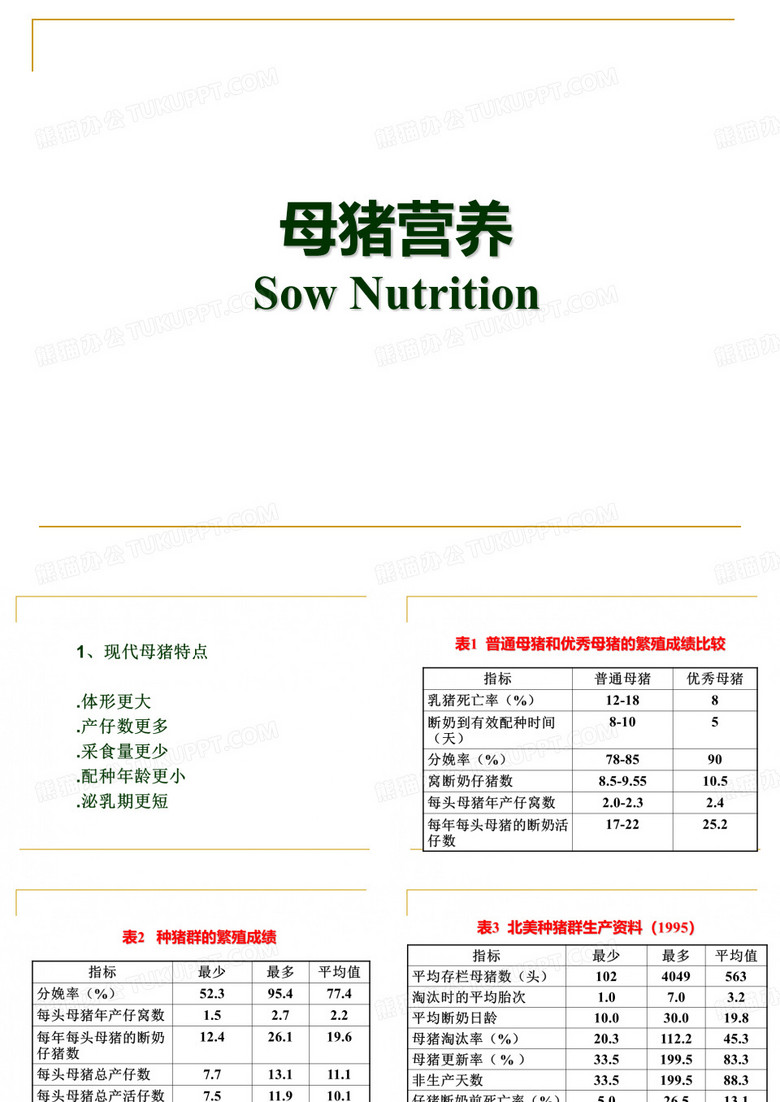 母猪营养