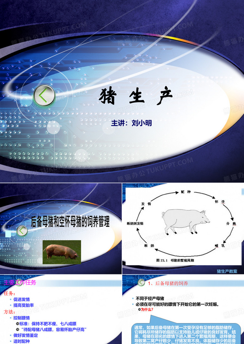 后备母猪与空怀母猪的饲养管理