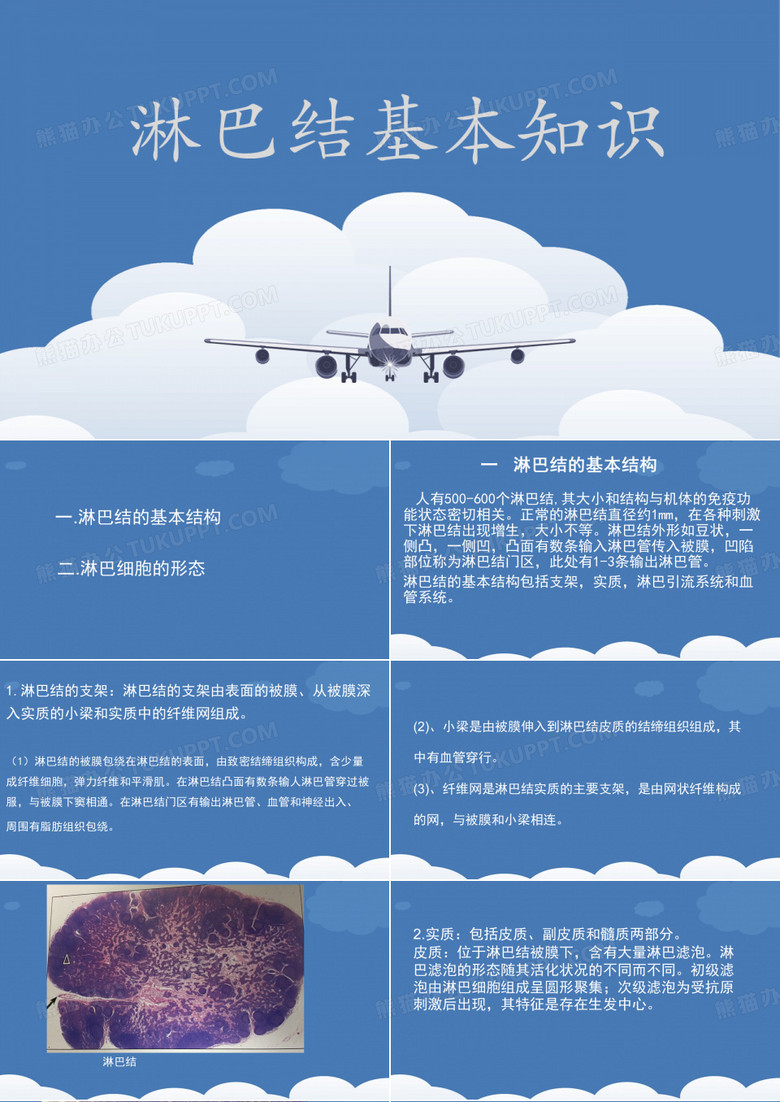 淋巴结