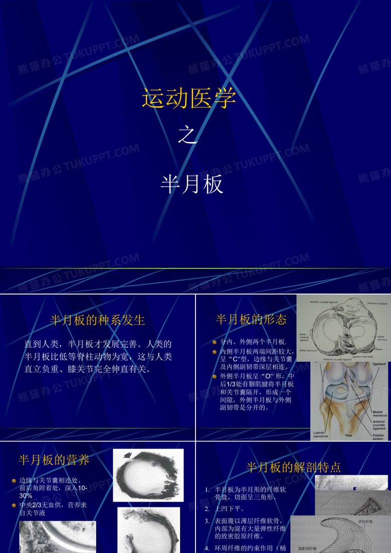 半月板损伤