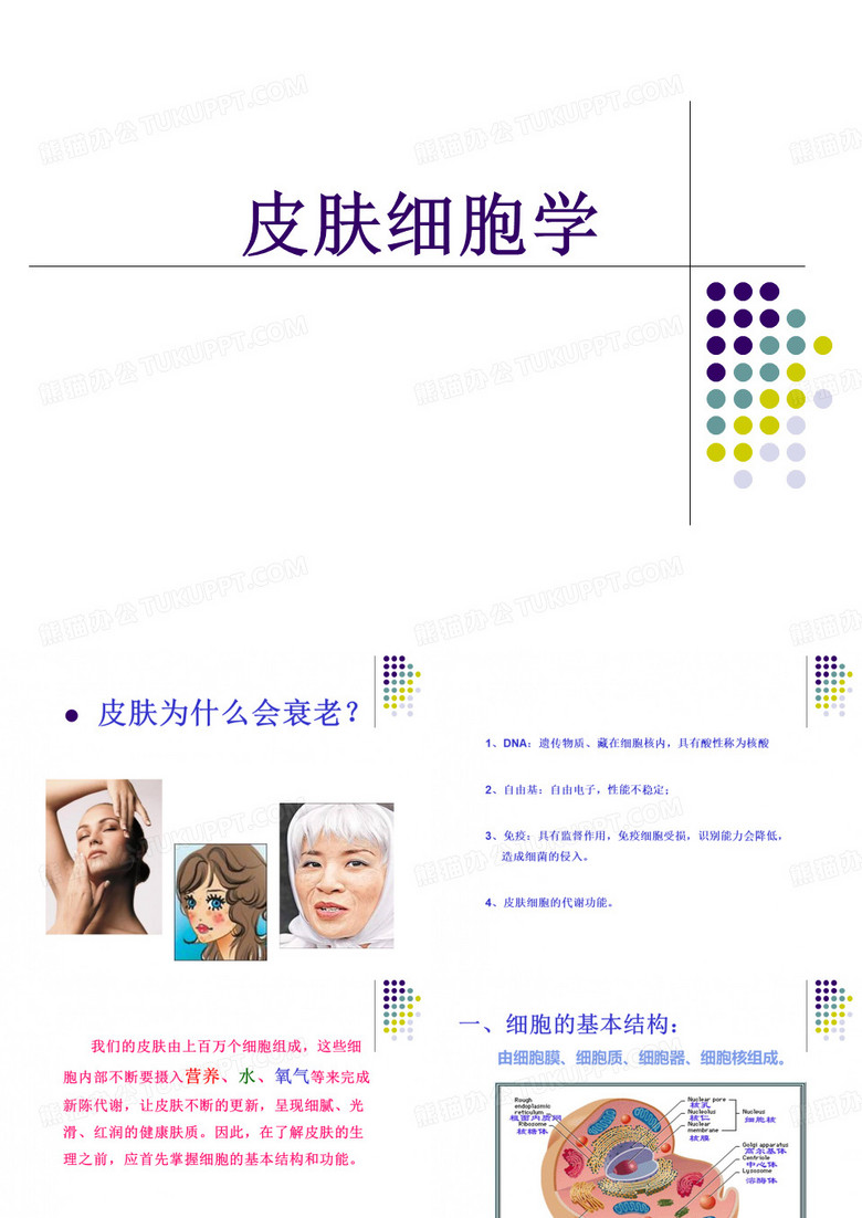 皮肤细胞学