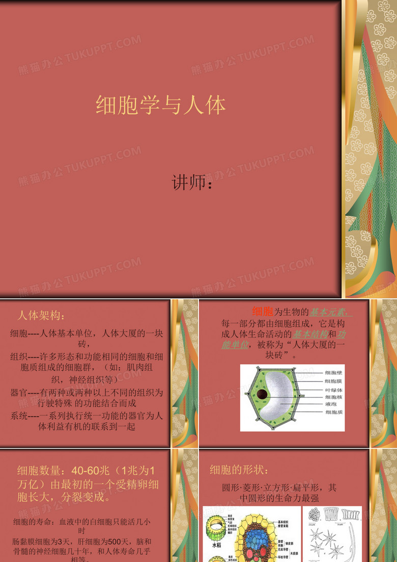 细胞学与人体