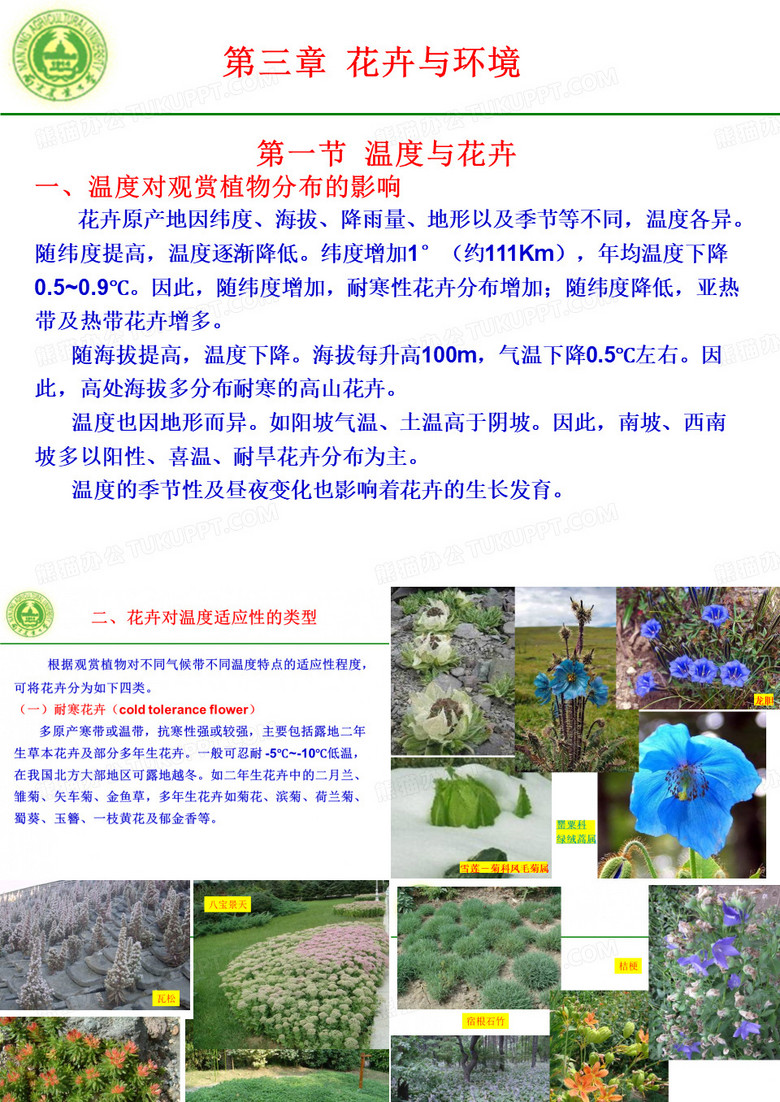 花卉学课件,南农花卉学,ppt