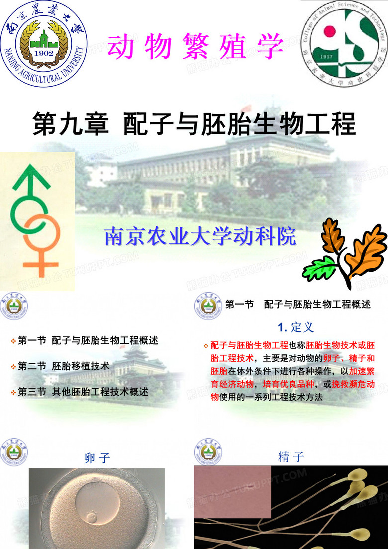 配子与胚胎生物工程_南农大