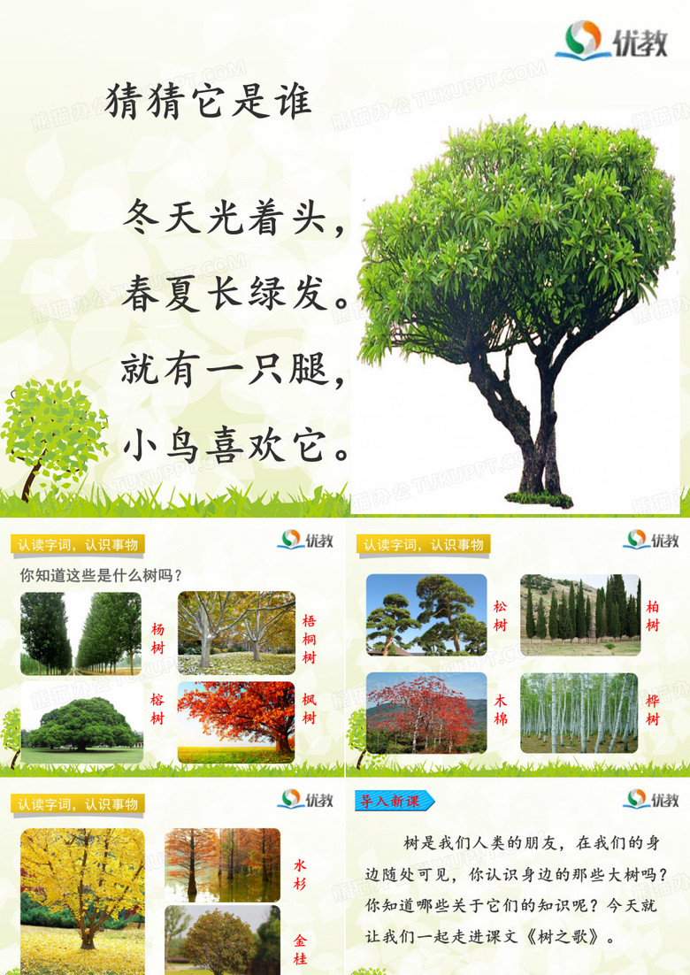 《树之歌》