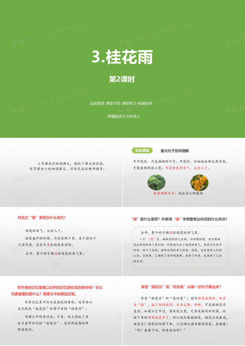 部编版桂花雨PPT课件完美版1