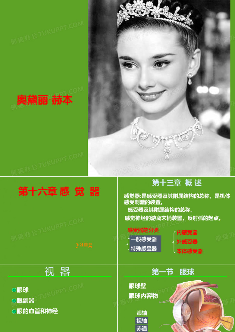 视器