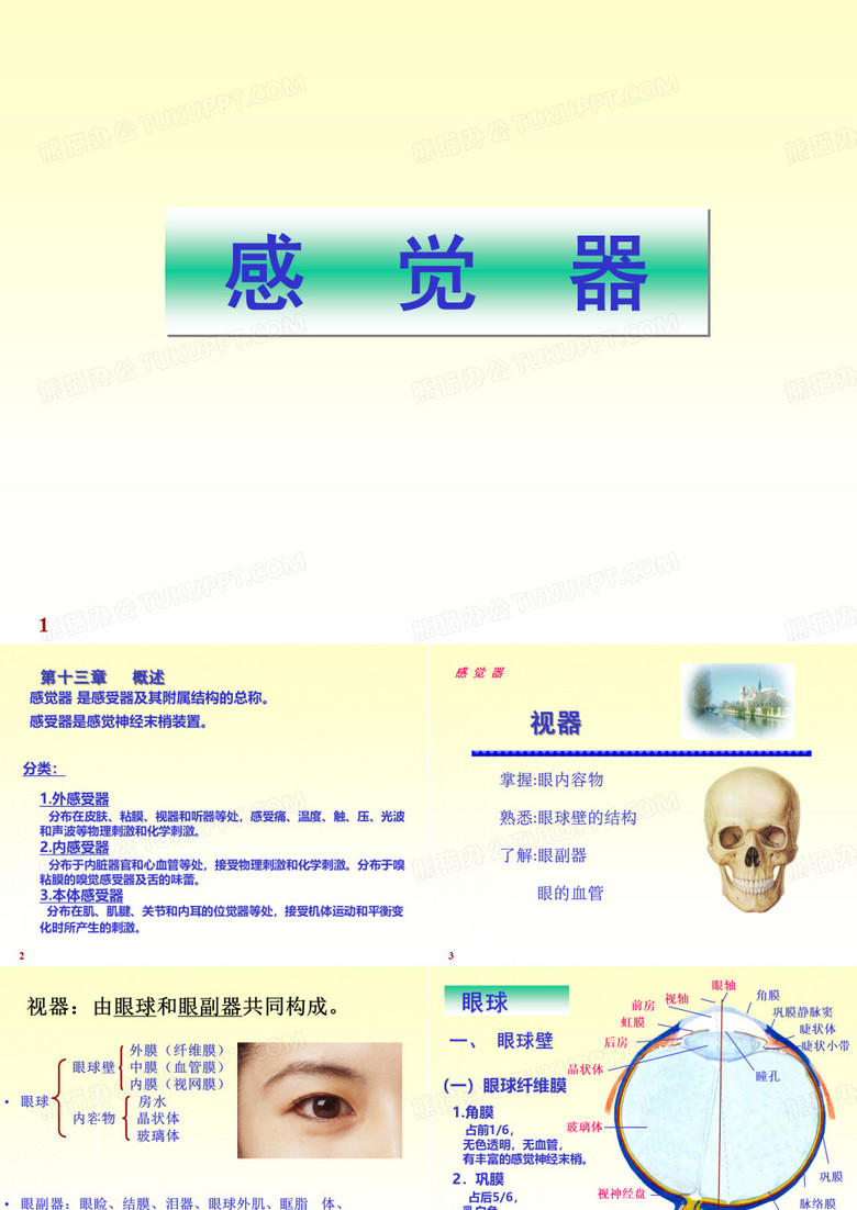 8-1感觉器 视器