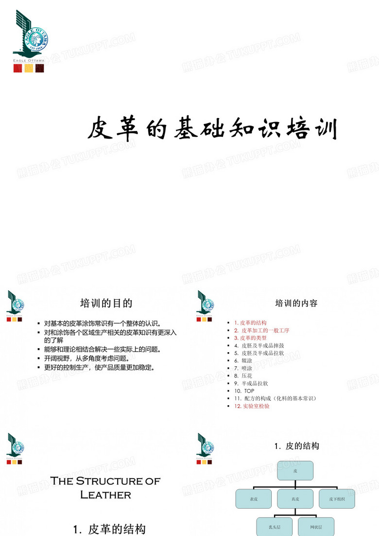 皮革知识培训
