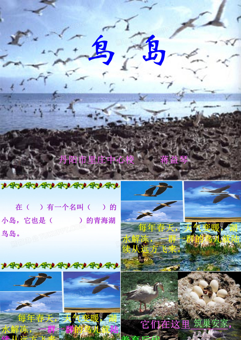 鸟岛1