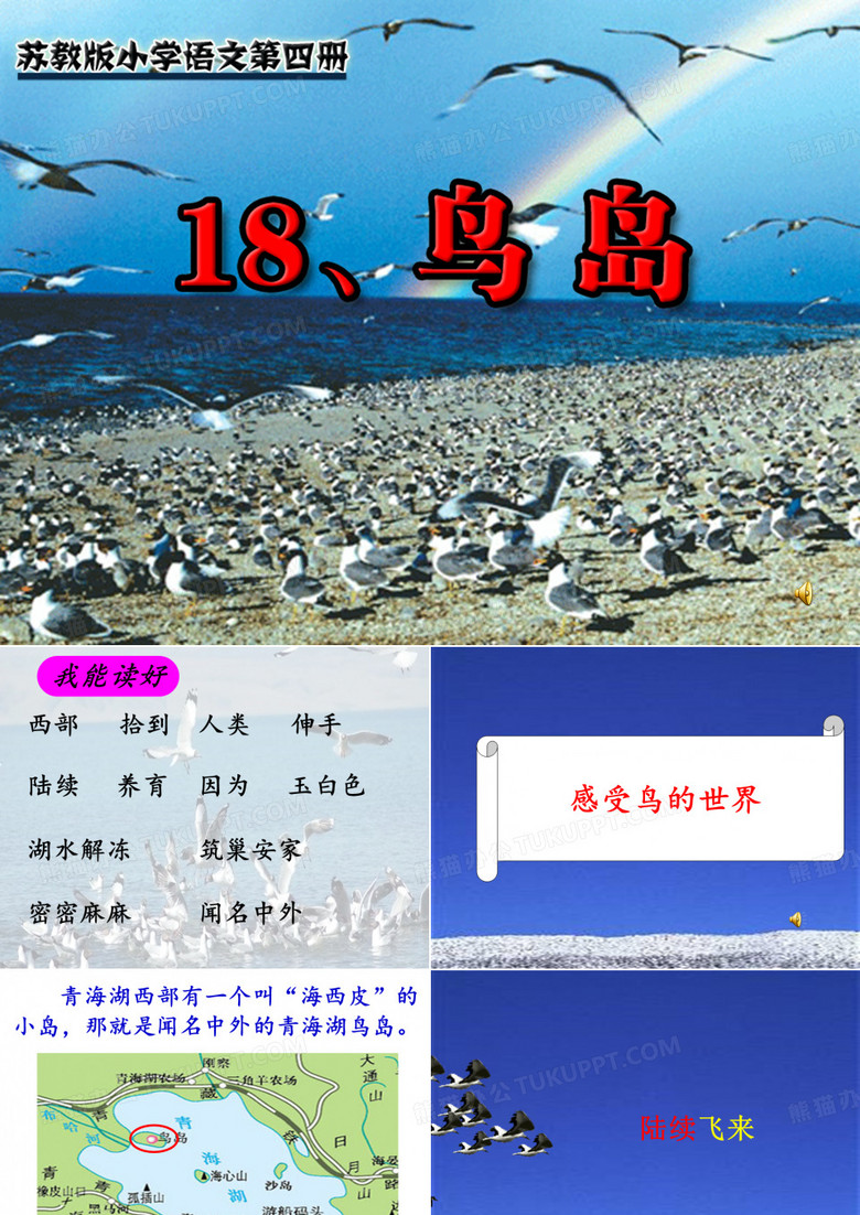 2016 鸟岛