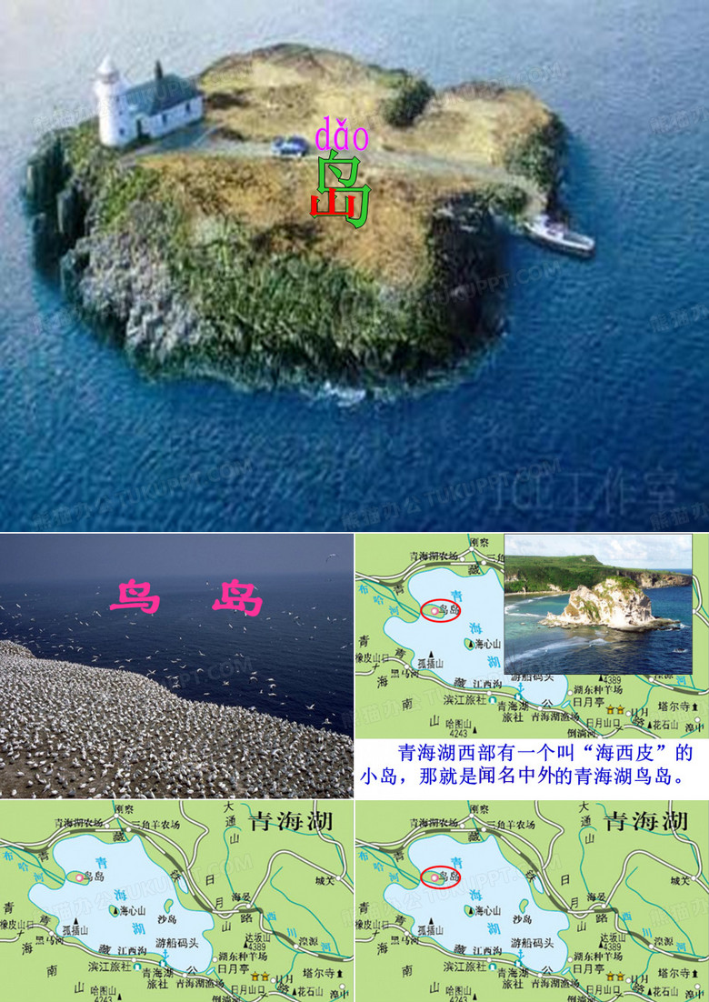 鸟岛 PPT