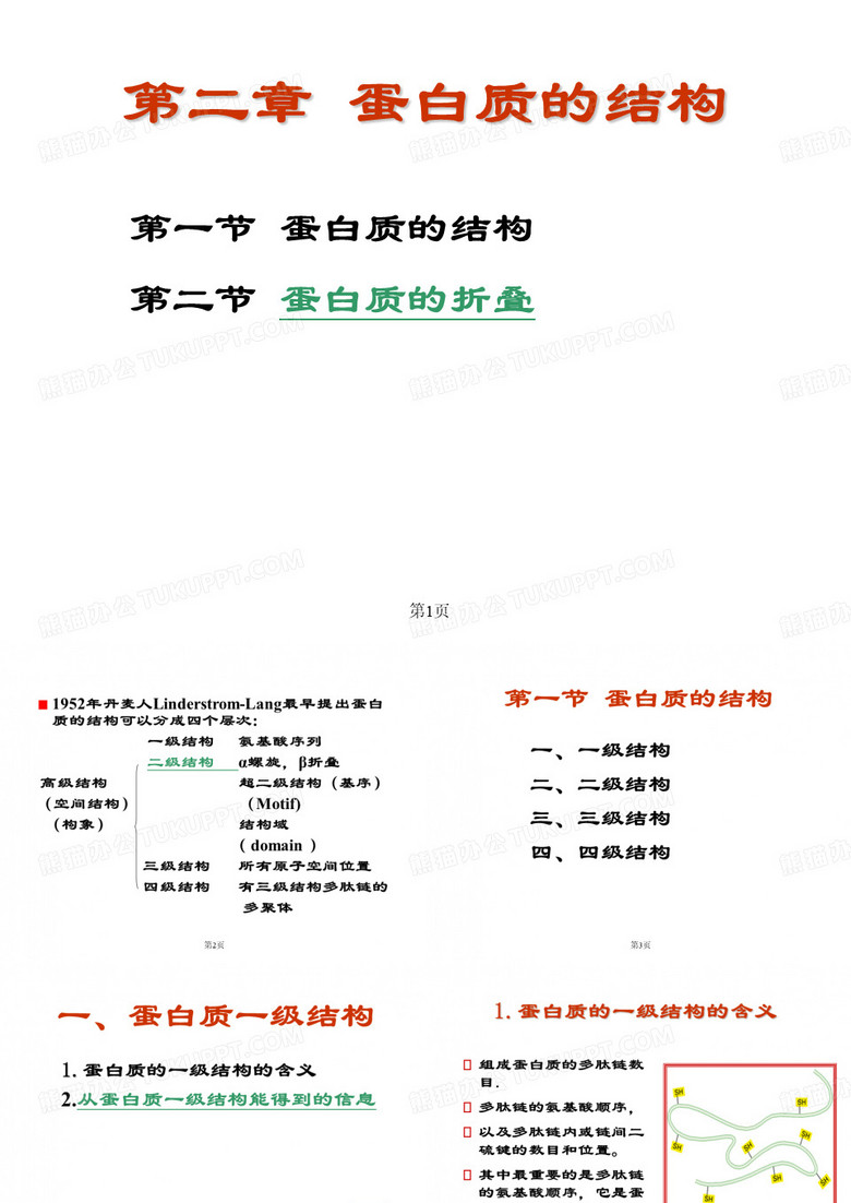 苏大生化研究生课程(蛋白质的结构)