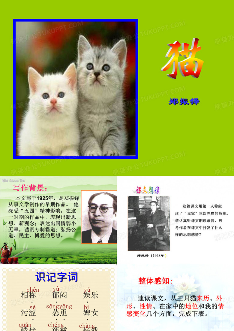 猫这篇课文的ppt