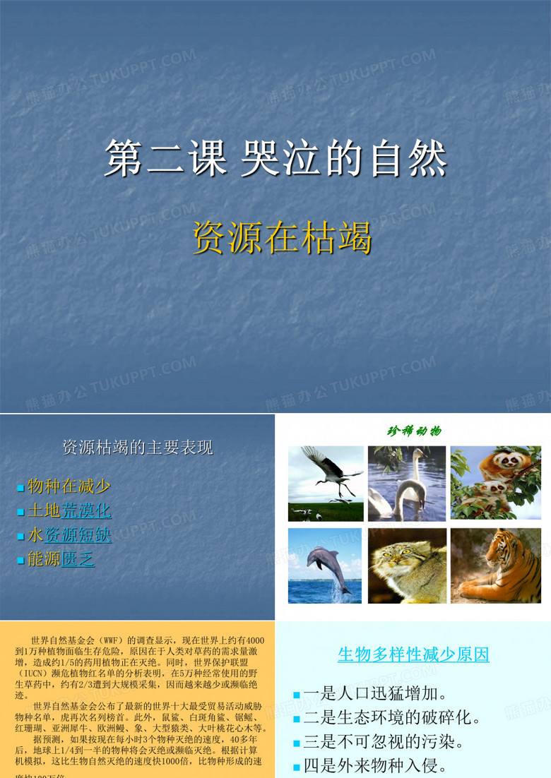 第二课 哭泣的自然