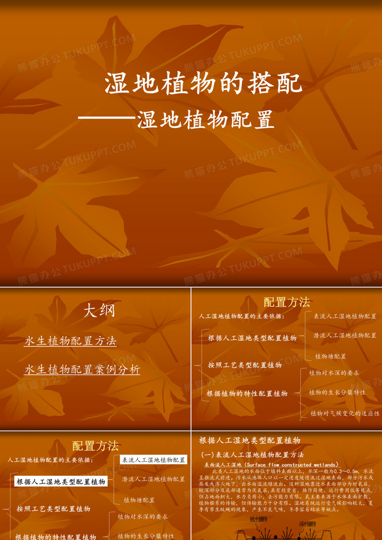 湿地植物配置
