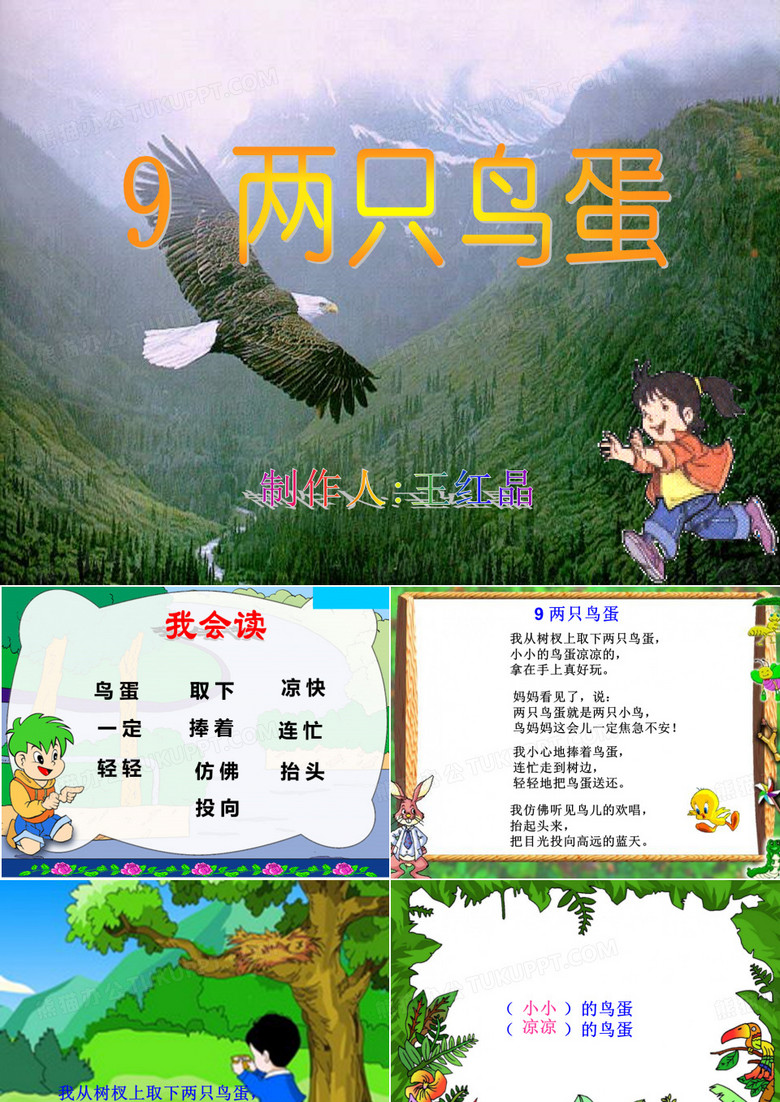 两只鸟蛋 ppt