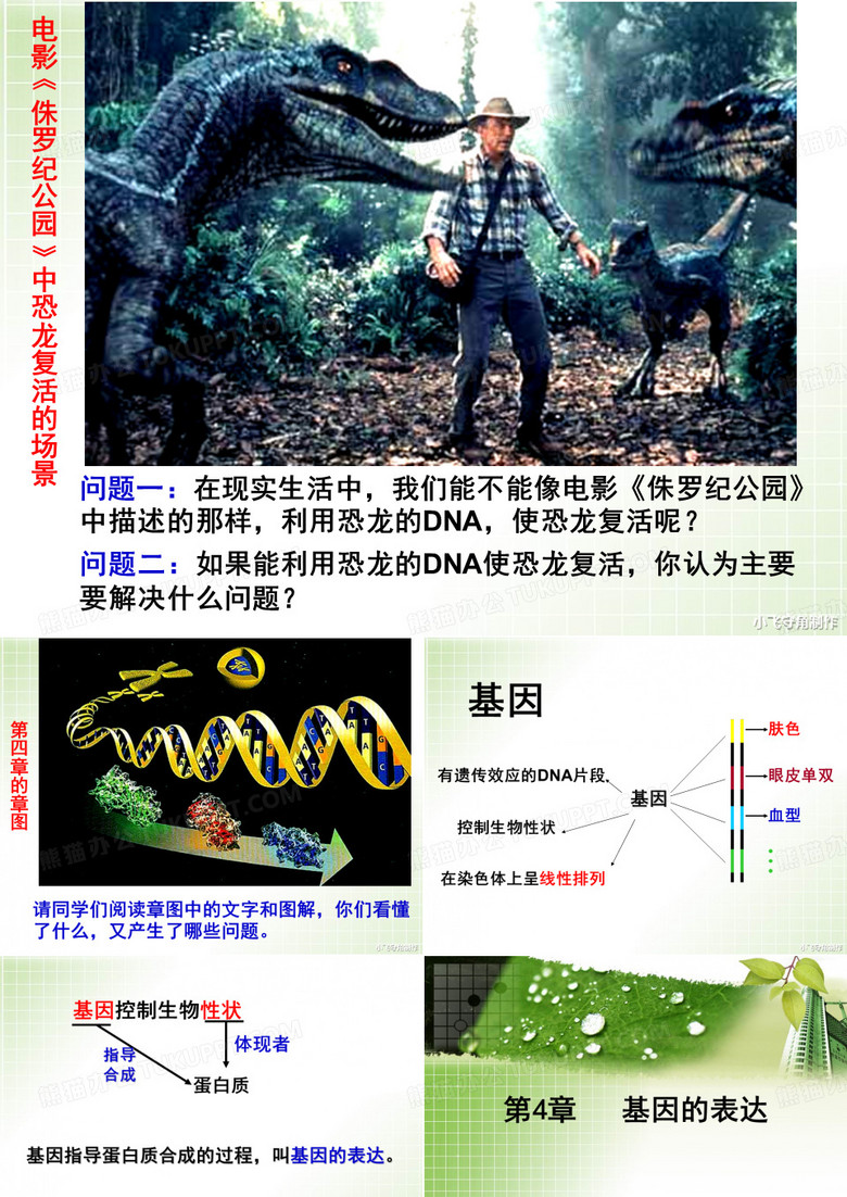 基因指导蛋白质的合成