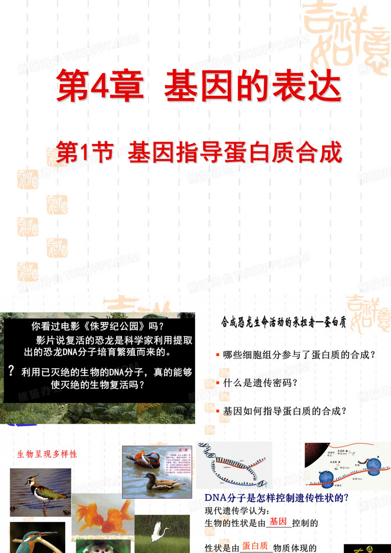 基因指导蛋白质合成