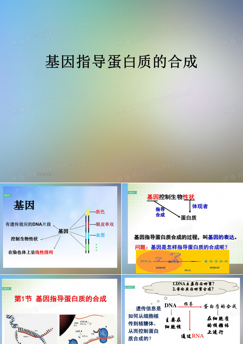 基因指导蛋白质的合成