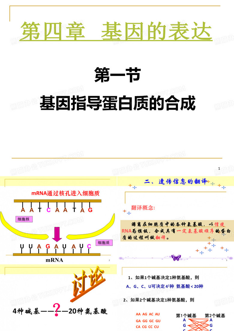 基因指导合成蛋白质