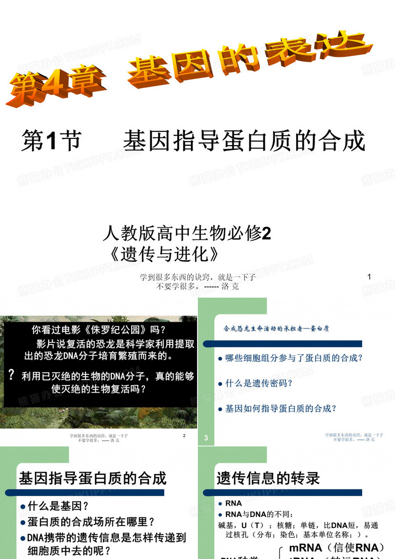 基因指导蛋白质合成