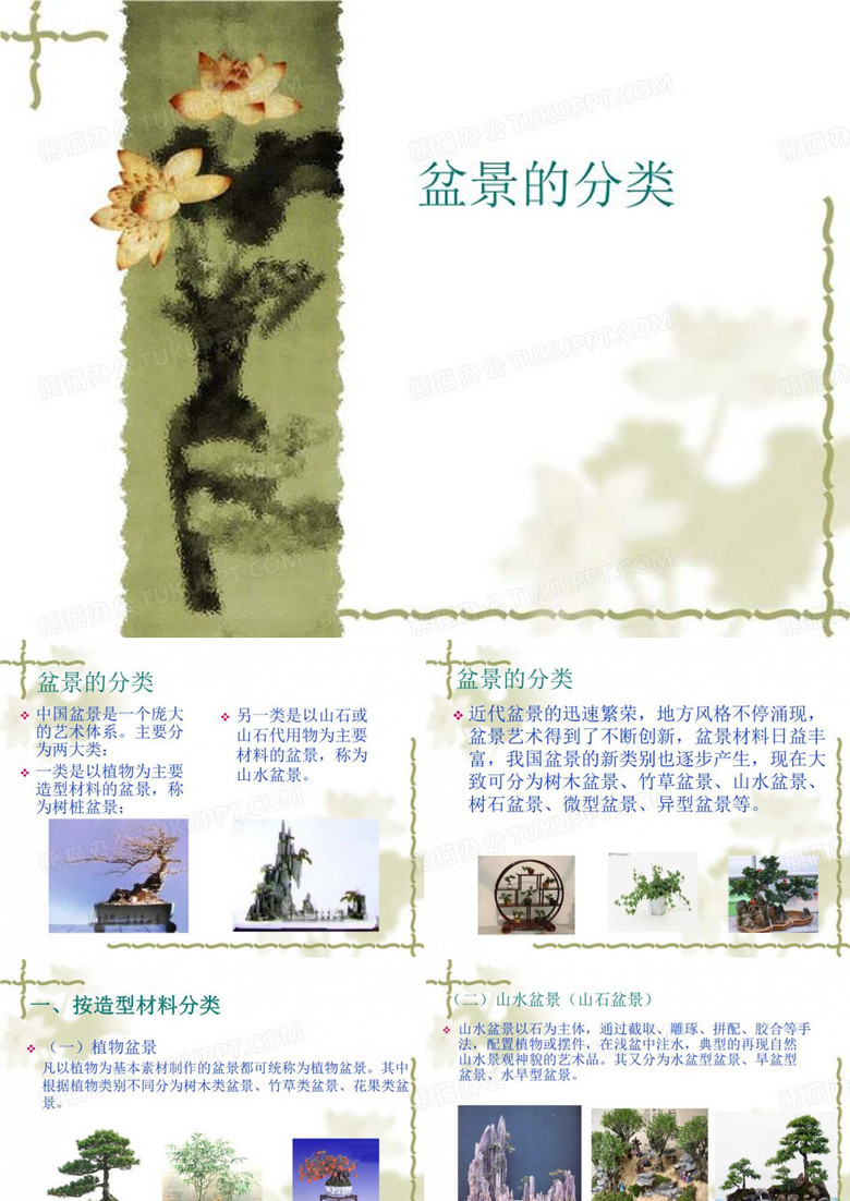 盆景的分类
