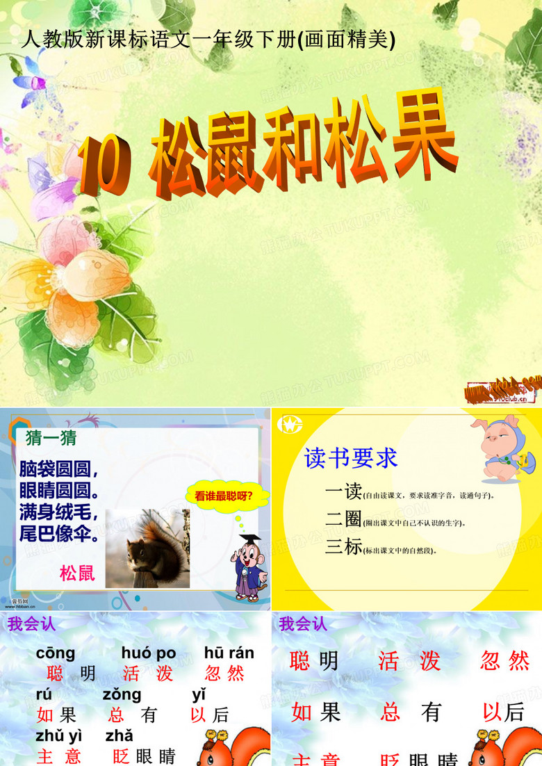 松鼠和松果