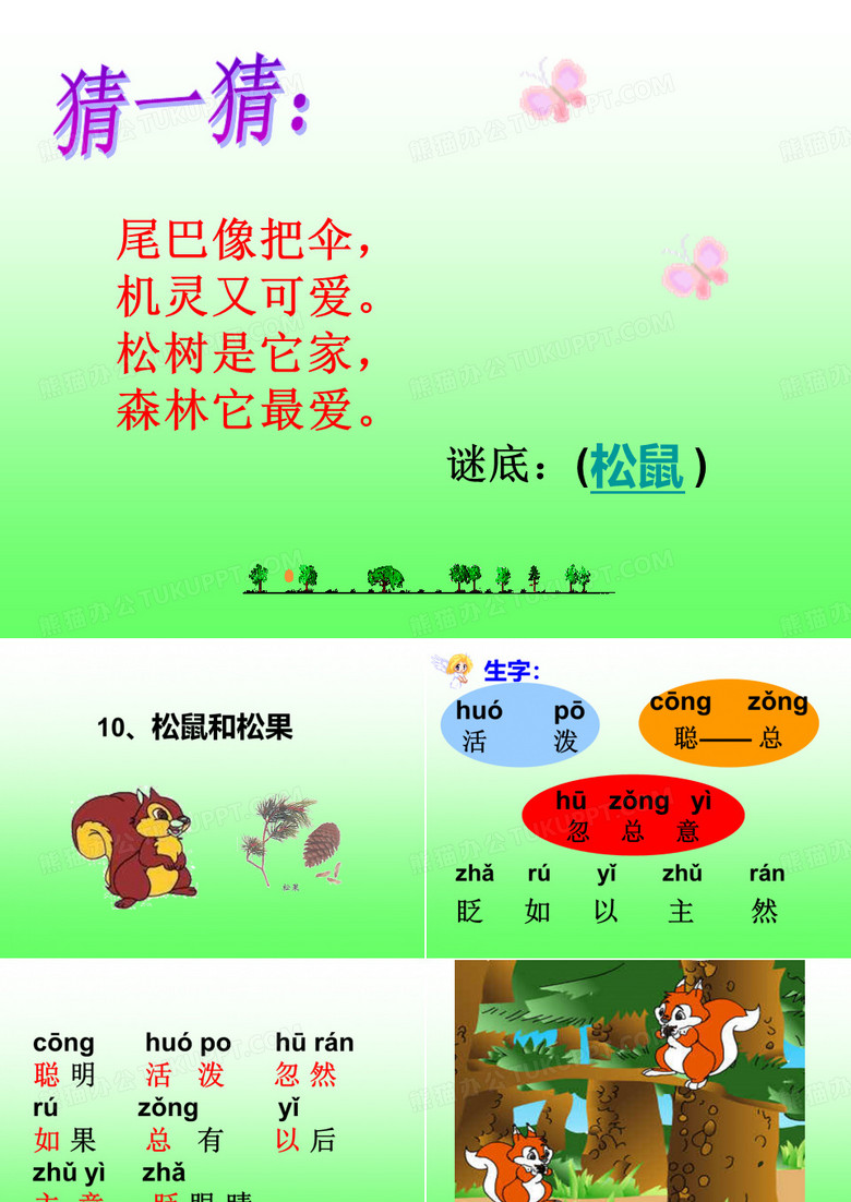 《松鼠和松果》