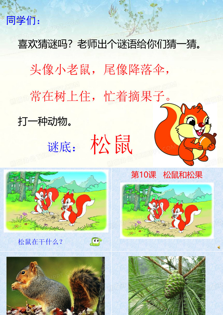 松鼠和松果 1