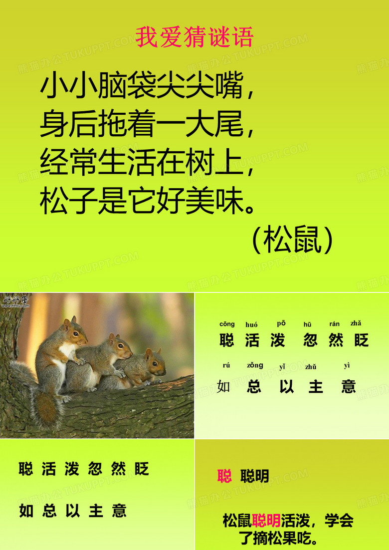 松鼠和松果PPT