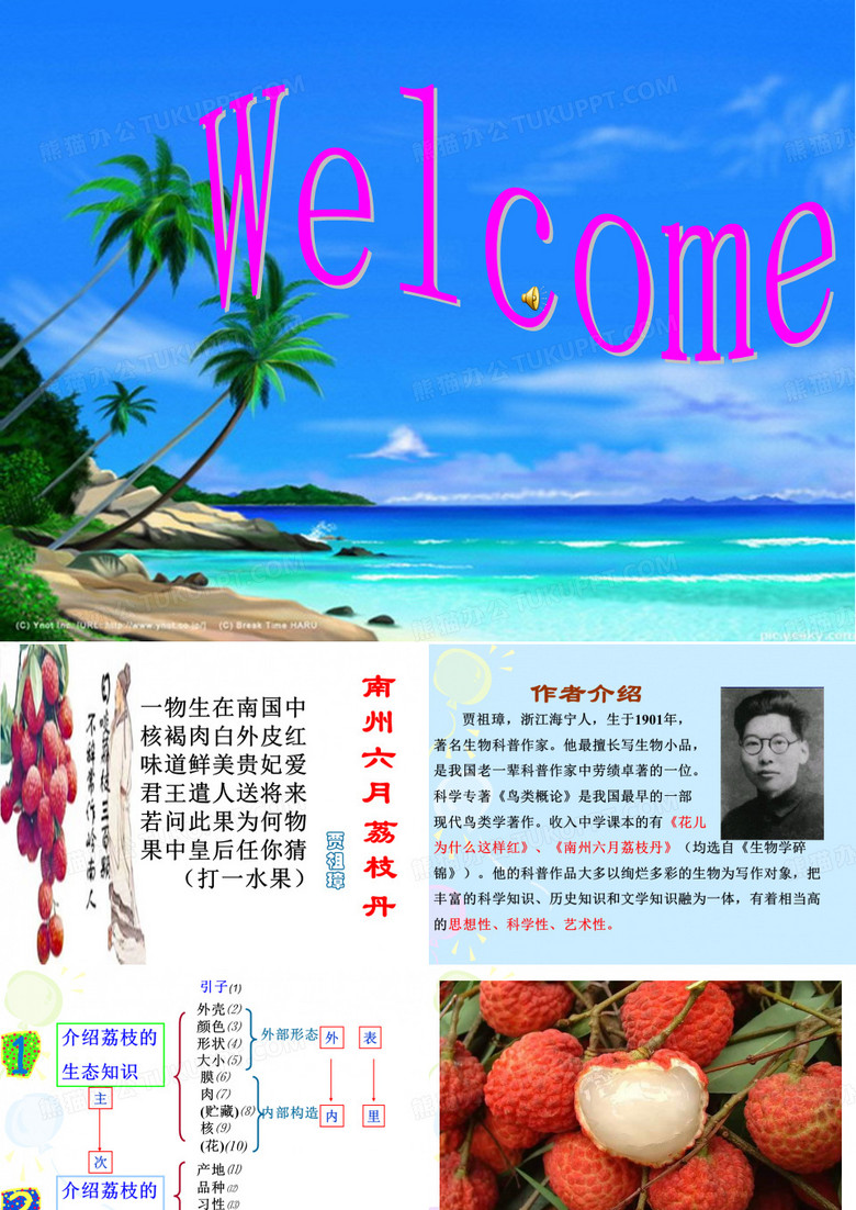 南洲六月荔枝丹课件