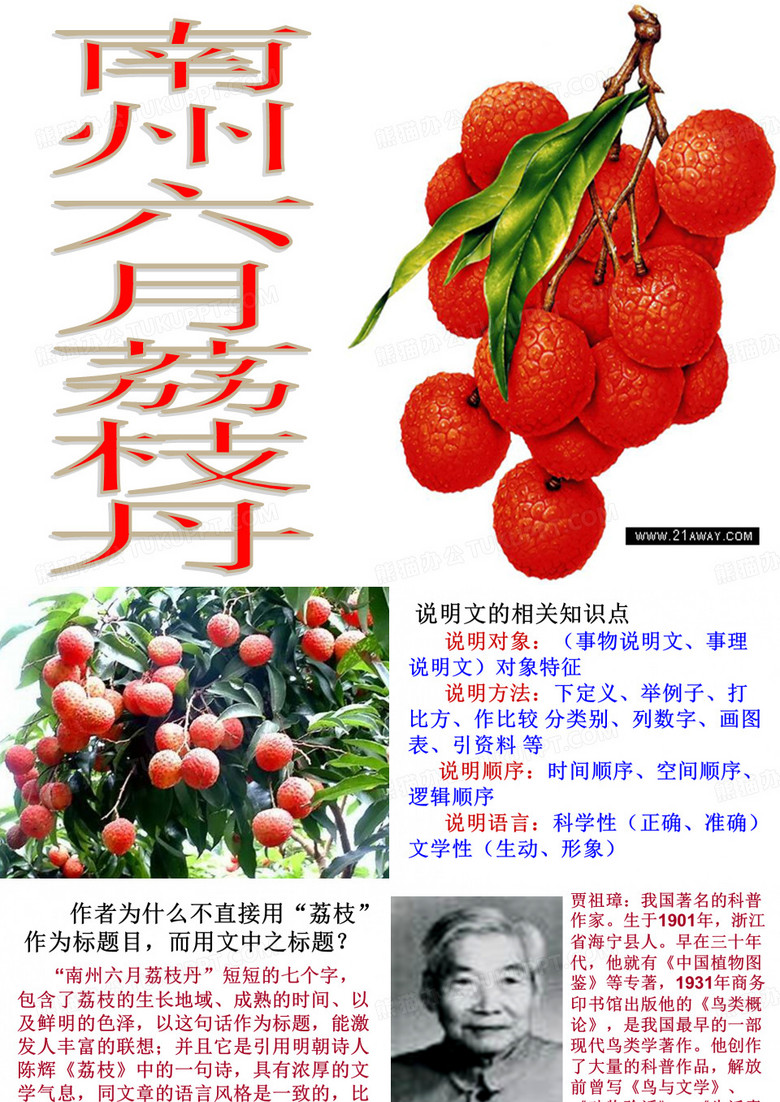 南州六月荔枝丹