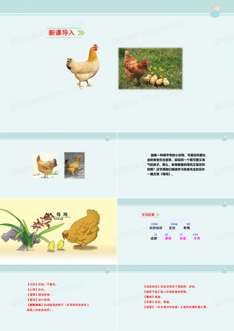 母鸡得奖一等奖-完整版PPT课件