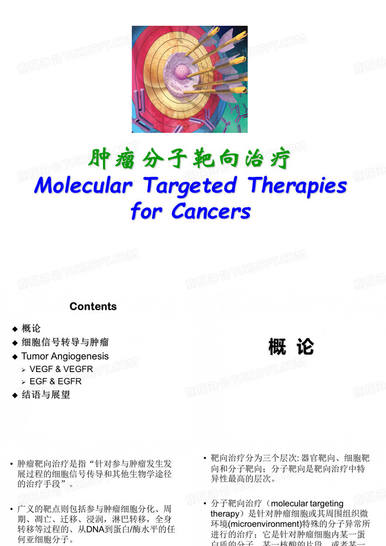 6靶向治疗
